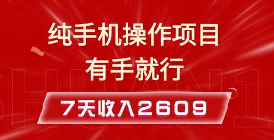 纯手机操作的小项目，有手就能做，7天收入2609+实操教程【揭秘】-雨辰网创分享