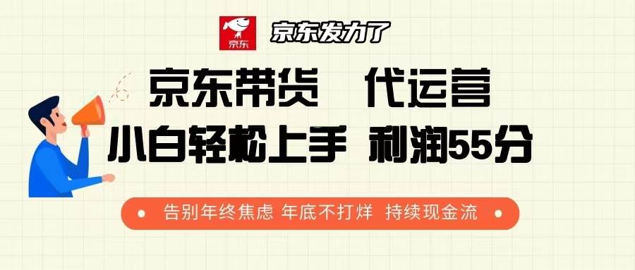 （13833期）京东带货 代运营 利润55分 告别年终焦虑 年底不打烊 持续现金流-6U网创