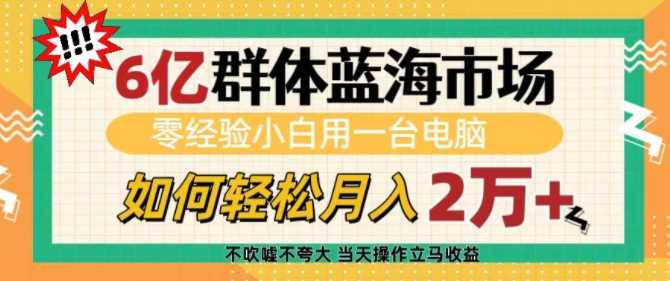 6亿群体蓝海市场，零经验小白用一台电脑，如何轻松月入过w【揭秘】-清创网