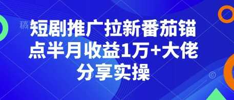 短剧推广拉新番茄锚点半月收益1万+大佬分享实操-八一网创分享