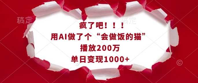 疯了吧！用AI做了个“会做饭的猫”，播放200万，单日变现1k-雨辰网创分享