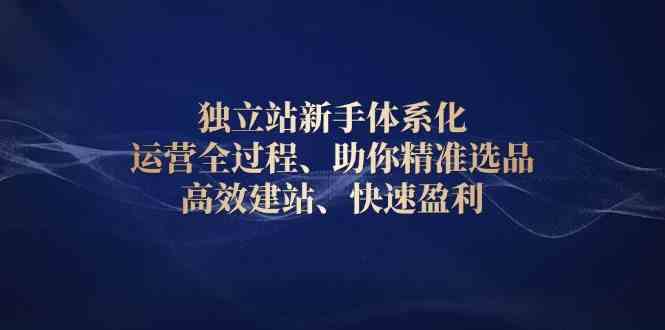 独立站新手体系化 运营全过程，助你精准选品、高效建站、快速盈利-6U网创