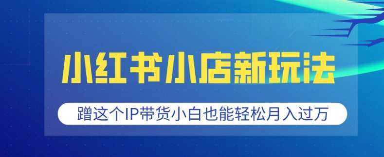 小红书小店新玩法，蹭这个IP带货，小白也能轻松月入过W【揭秘】-优优云网创