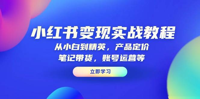 （13923期）小红书变现实战教程：从小白到精英，产品定价，笔记带货，账号运营等-清创网