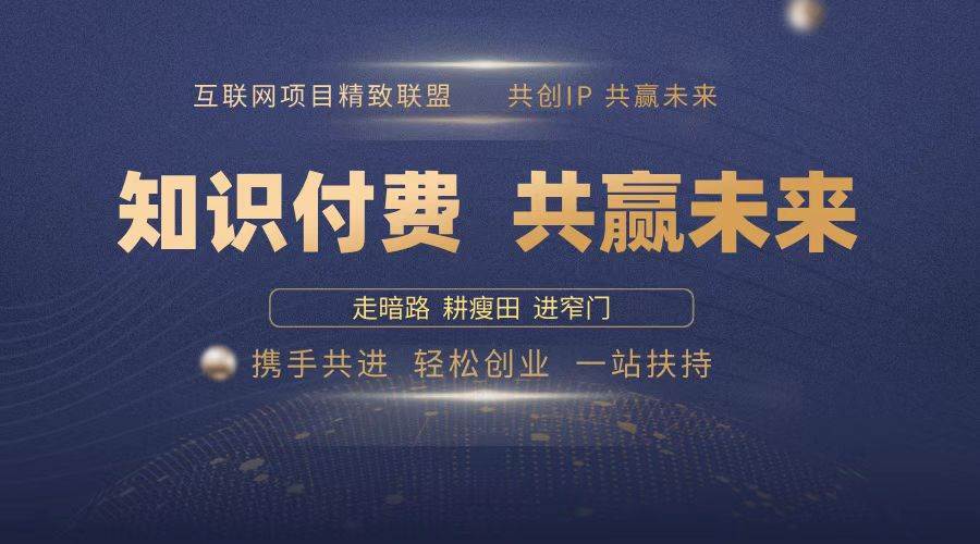 （13944期）2025年 如何通过 “知识付费” 卖项目月入十万、年入百万，布局2025与…-八一网创分享