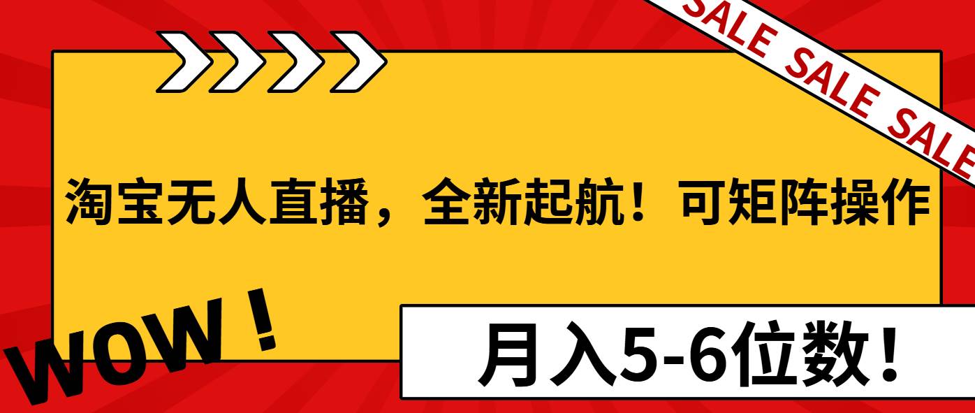 （13946期）淘宝无人直播，全新起航！可矩阵操作，月入5-6位数！-星源网创