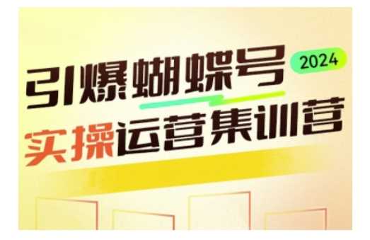 引爆蝴蝶号实操运营，助力你深度掌握蝴蝶号运营，实现高效实操，开启流量变现之路-星源网创