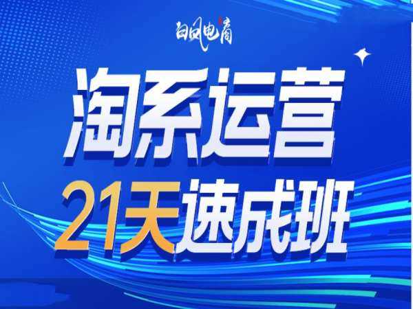 淘系运营21天速成班35期，年前最后一波和2025方向-八一网创分享