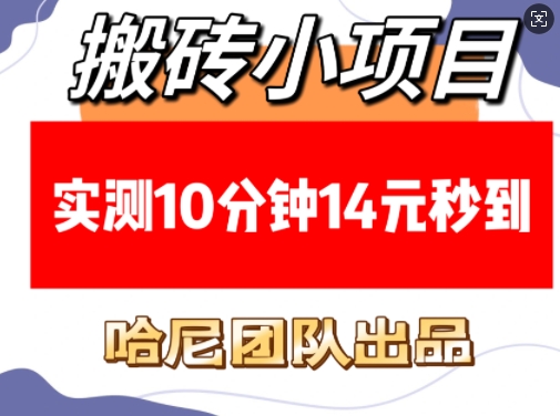 搬砖小项目，实测10分钟14元秒到，每天稳定几张(赠送必看稳定)-6U网创