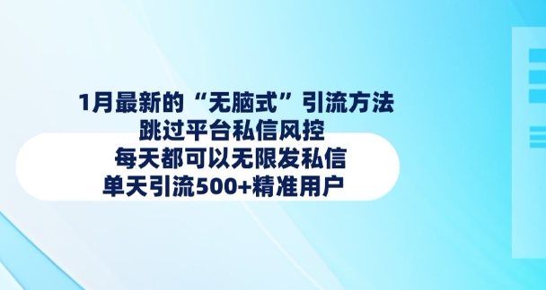 1月最新的无脑式引流方法，跳过平台私信风控，每天都可以无限发私信，单天引流500+精准用户-亿云网创