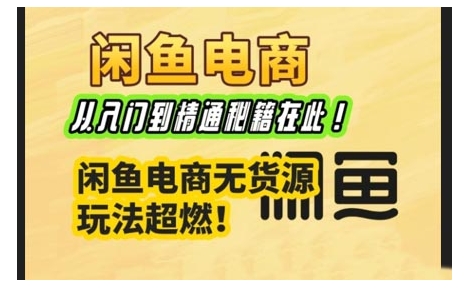 闲鱼电商实战课，从入门到精通秘籍在此，闲鱼电商无货源玩法超燃!-雨辰网创分享