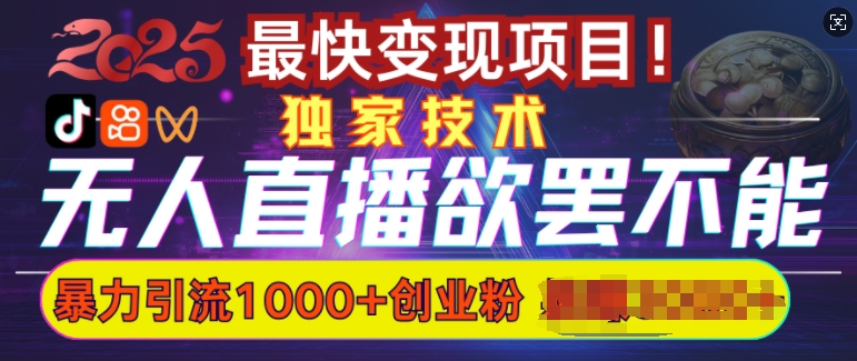 欲罢不能的无人直播引流，超暴力日引流1000+高质量精准创业粉-玖野学社-每日分享网创项目！