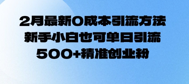 2月最新0成本引流方法，新手小白也可单日引流500+精准创业粉-玖野学社-每日分享网创项目！