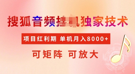 全网首发搜狐音频挂JI独家技术，项目红利期，可矩阵可放大，稳定月入8k【揭秘】-亿云网创