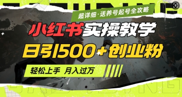 2月小红书最新日引500+创业粉实操教学【超详细】小白轻松上手，月入1W+，附小红书养号起号SOP-启点工坊