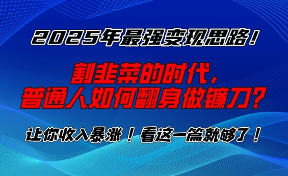 2025年最强变现思路，割韭菜的时代， 普通人如何翻身做镰刀？【揭秘】-红宝盒创业网创平台