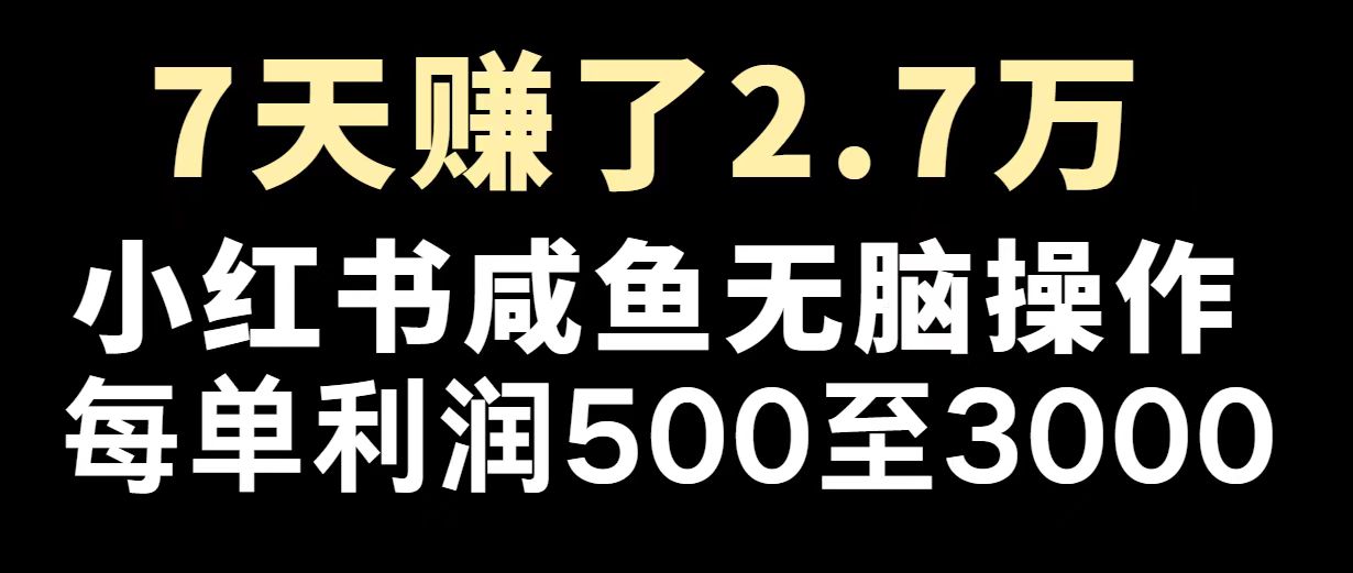 最赚钱项目之一，2025爆火，逆风翻盘！-雨辰网创分享