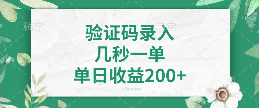 验证码录入，几秒一单，单日收益200+-优优云网创