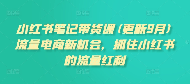 小红书笔记带货课(更新25年2月)流量电商新机会，抓住小红书的流量红利-玖野学社-每日分享网创项目！