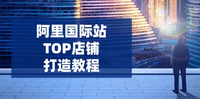 阿里国际站TOP店铺打造教程：涵盖平台到高阶，解决运营难题，提升询盘-启点工坊