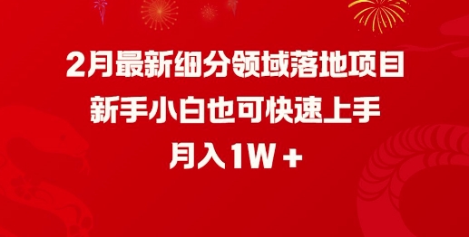 2月最新细分领域落地项目，新手小白也可快速上手，月入1W-启点工坊