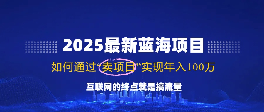 2025最新蓝海项目，零门槛轻松复制，月入10万+，新手也能操作！-雨辰网创分享