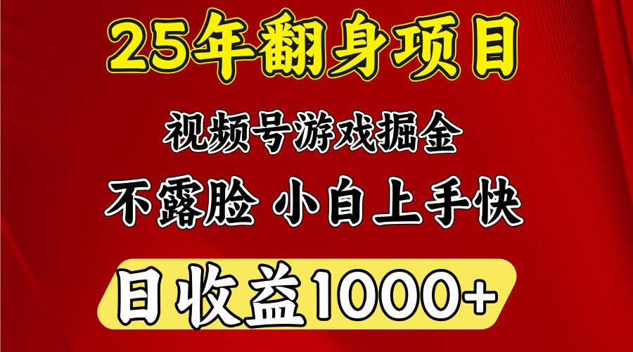 一天收益1000+ 25年开年落地好项目-雨辰网创分享