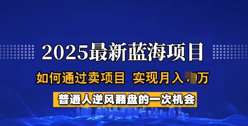 2025蓝海项目，普通人如何通过卖项目，实现月入过W，全过程【揭秘】-云尚网