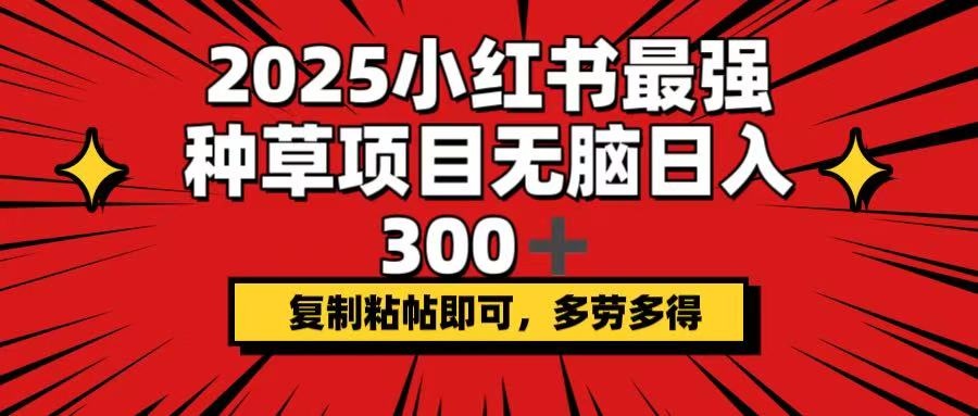 2025小红书最强种草项目，无脑日入300+，复制粘帖即可，多劳多得-云网创