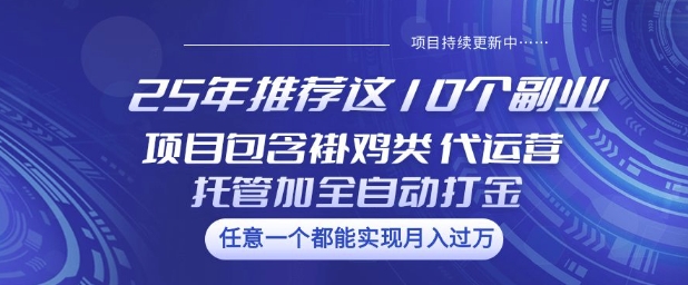 25年推荐这10个副业项目包含褂鸡类、代运营托管类、全自动打金类【揭秘】-启点工坊