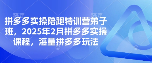 拼多多实操陪跑特训营弟子班，2025年2月拼多多实操课程，海量拼多多玩法-启点工坊