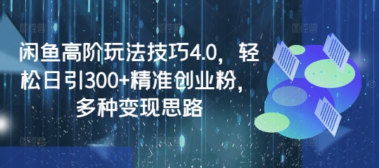 闲鱼高阶玩法技巧4.0，轻松日引300+精准创业粉，多种变现思路-深鱼云创