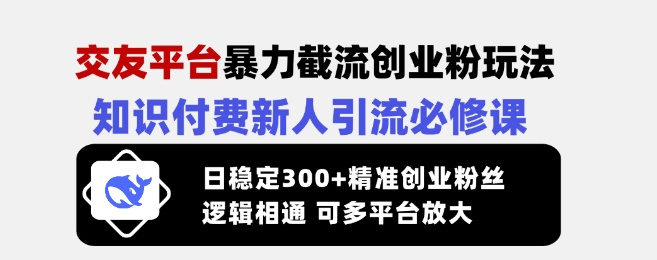 交友平台暴力截流创业粉玩法，知识付费新人引流必修课，日稳定300+精准创业粉丝，逻辑相通可多平台放大-亿云网创