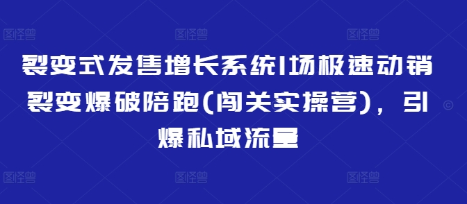 裂变式发售增长系统1场极速动销裂变爆破陪跑(闯关实操营)，引爆私域流量-云网创