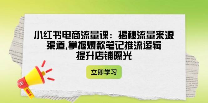 小红书电商流量课：揭秘流量来源渠道,掌握爆款笔记推流逻辑,提升店铺曝光-亿云网创