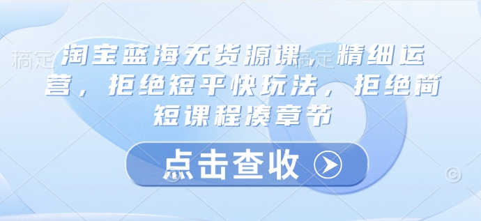 淘宝蓝海无货源课，精细运营，拒绝短平快玩法，拒绝简短课程凑章节-云网创