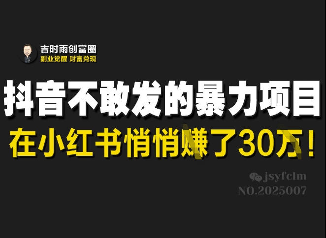 抖音不敢发的暴利项目，在小红书悄悄挣了30W-云网创