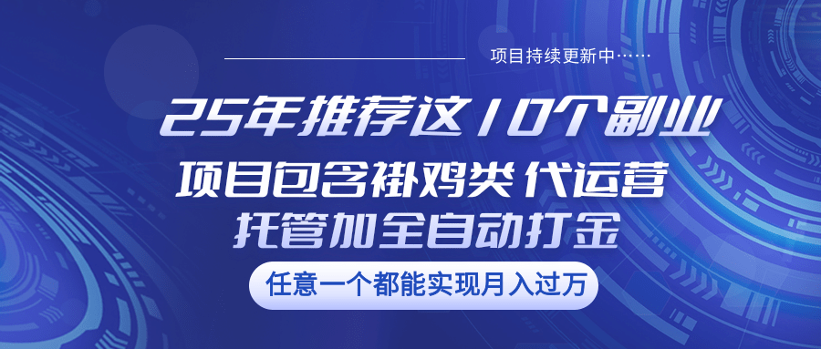 25年推荐这10个副业 项目包含褂鸡类、代运营托管类、全自动打金类-深鱼云创