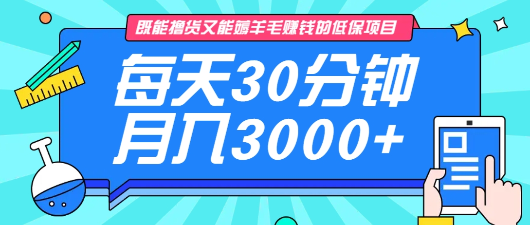 既能撸货又能赚钱的长期低保项目，每天30分钟，多号百分百稳定月入3000+！-或|网创人人推