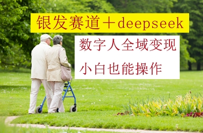银发赛道+deepseek数字人全域变现，小白也能操作-云网创