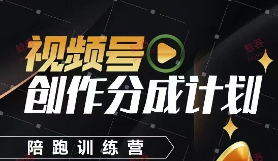 视频号创作分成计划陪跑训练营，手把手教会你如何制作视频，细水长流型项目-大宝网创