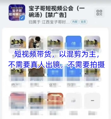 宝子哥头部团队短视频带货，以混剪为主，不需要真人出镜，不需要拍摄-参一网创