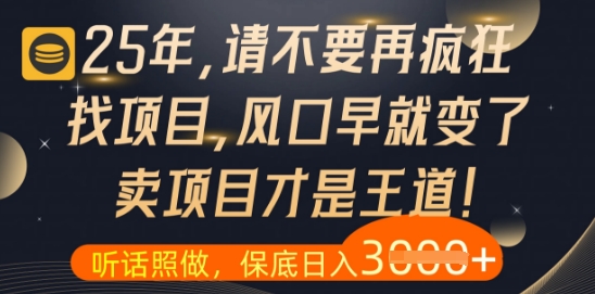 什么？25年你还在疯狂找项目做，醒醒吧，看完这些你全都懂了【揭秘】-追梦云网创，专注互联网经验分享！