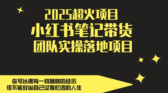 2025超火项目，副业最佳选择，小红书笔记带货团队实操落地项目，，轻松日入5张-参一网创