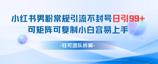 小红书男粉常规引流不封号日引99+变现简单 可矩阵可复制小白容易上手-网创云