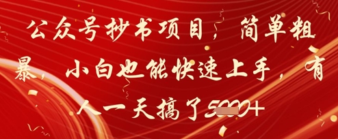 公众号抄书项目，简单粗暴，小白也能快速上手，有人一天搞了1k+-云网创