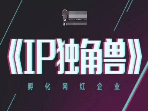 IP独角兽，孵化网红企业，ip教程-青年云网创