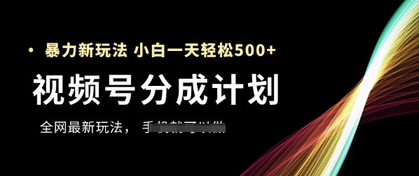 视频号分成计划，全网最暴力玩法，新手一天也能轻松5张+-阿迪云资源网