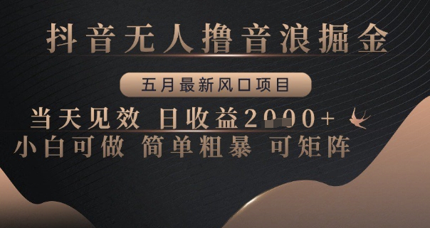 抖音无人撸音浪掘金，五月最新风口项目，当天见效，日收益多张，小白可做简单粗暴可矩阵【揭秘】-云分享