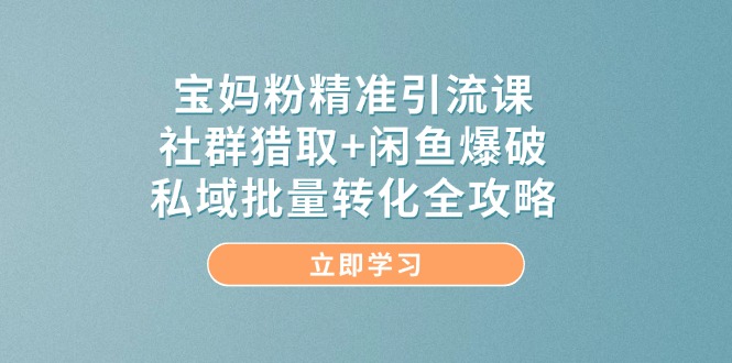 宝妈粉精准引流课，社群猎取+闲鱼爆破，私域批量转化全攻略-清枫云网创